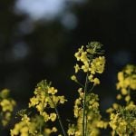Photo: File
