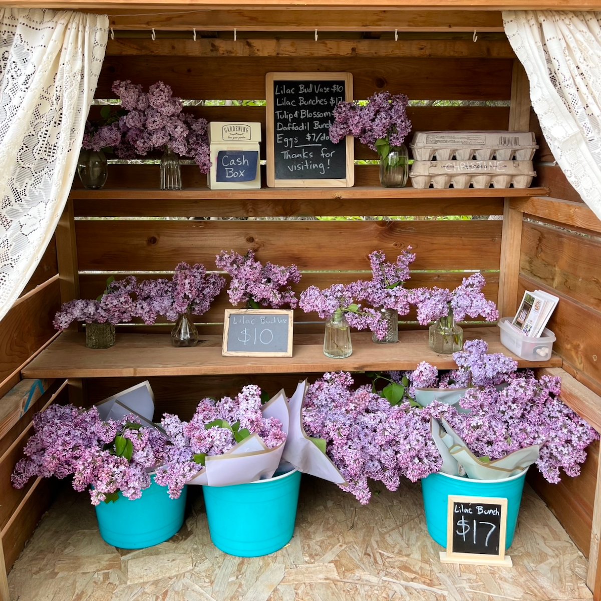 flowers on a shelf for sale