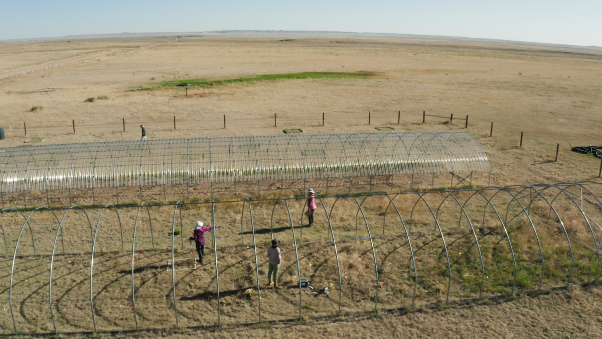 The Semi-arid Grassland Research Center was used in the International Drought Experiment as part of this research. Credit: CSU College of Natural Sciences