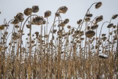 (GZKele/iStock/Getty Images)