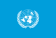 Rules-based trading system at risk of derailment, says UN chief