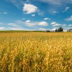 Risk management for the farm means considering people, too