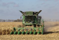 Photo: Geralyn Wichers