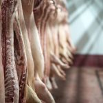 Photo: Smederevac/Getty Images Plus