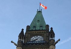 A Canadian flag flies at the top of one of the Parliament buildings in Ottawa. Photo: File
