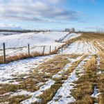 Photo: Vadimgouida/iStock/Getty Images
