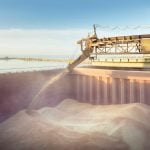 Photo: ygrek/Getty Images Plus
