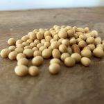 U.S. grains: soybeans firm ahead of USDA data