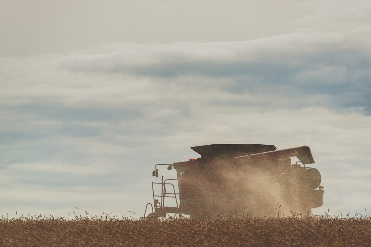 Photo: ShaunL/Getty Images Plus
