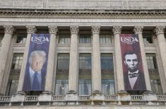 U.S. corn and soybean yields revised down by USDA