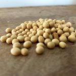 U.S. export sales include only small soybean business to China