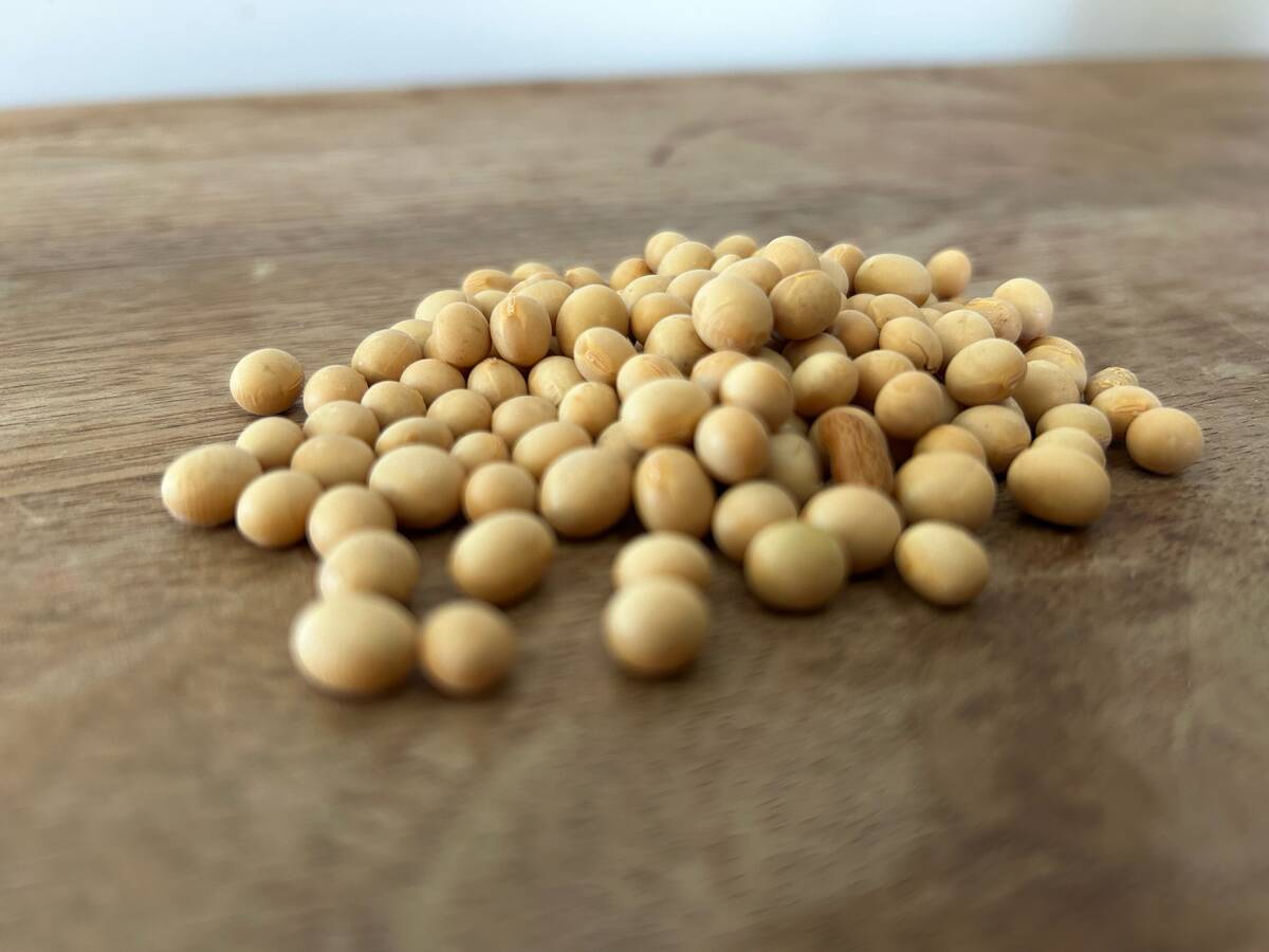 U.S. export sales include only small soybean business to China