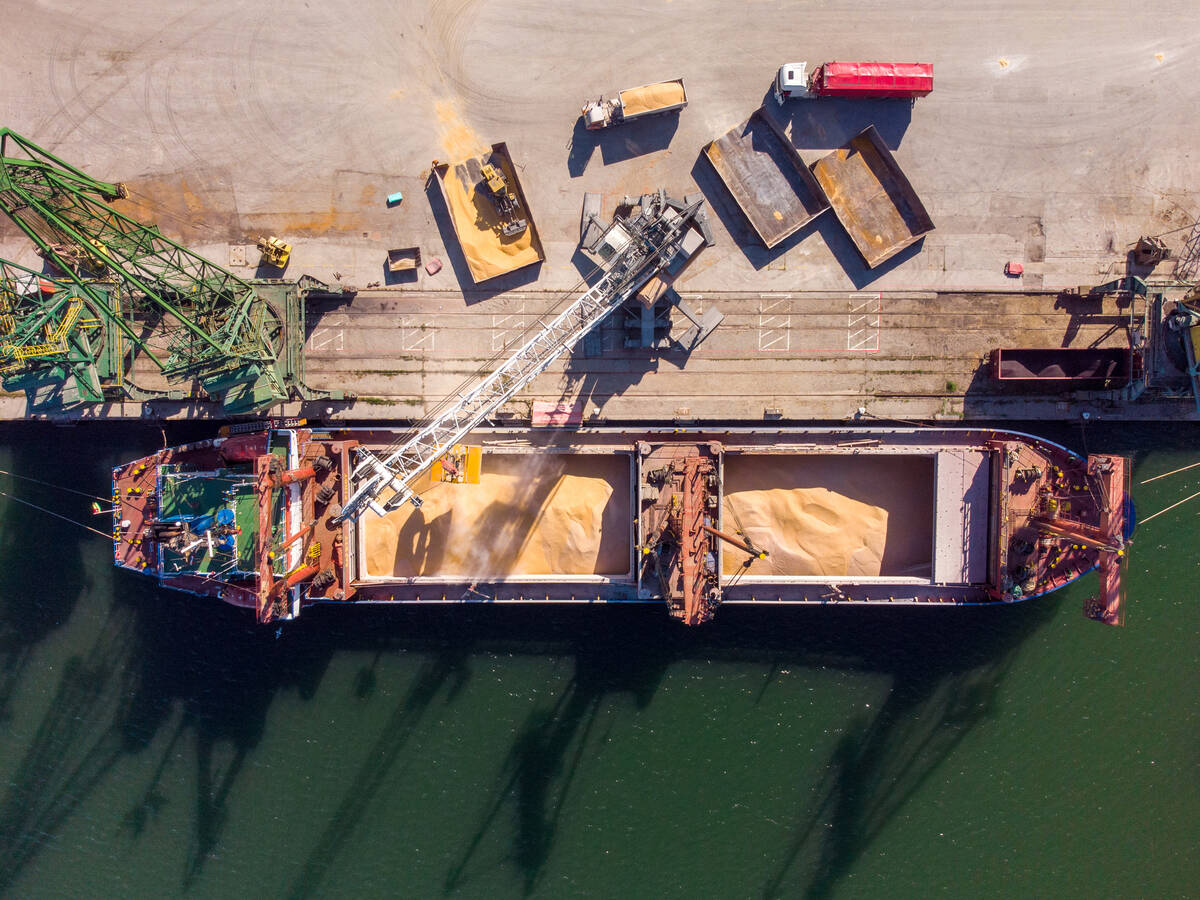 A bulk grain carrier ship is loaded in a port. Photo: sandsun/Getty Images Plus
