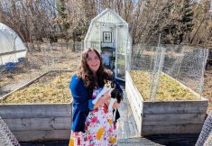 Kristen Raney, owner, Shifting Blooms