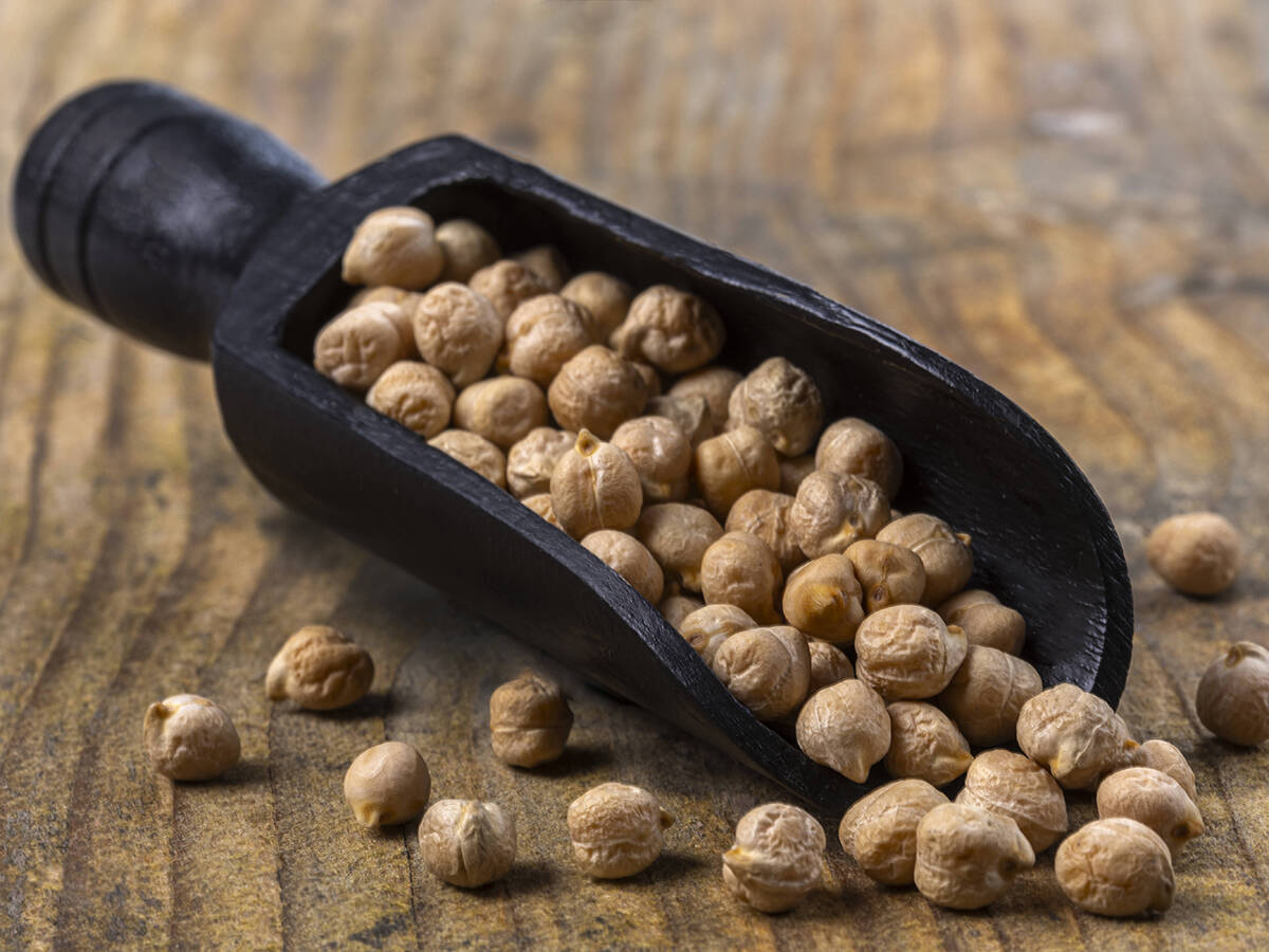 Feed weekly outlook: Grain prices expected to hold firm