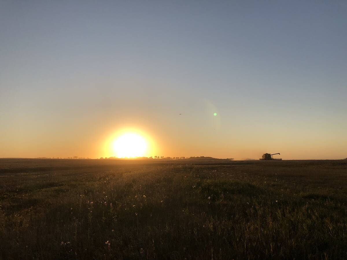 Feed weekly outlook: Prairie grains chopping around