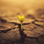 Country Guide magazine heads into a new era in 2026.