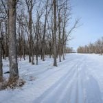 Photo: Geralyn Wichers
