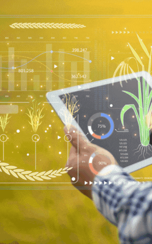 Don't miss the January issue!