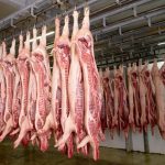 China&rsquo;s anti-dumping investigation began in June last year and has affected major pork exporters such as Spain, the Netherlands and Denmark. Photo: hrabar/iStock/Getty Images
