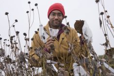 Michael B. Kantar, research assistant in Agronomy and Plant Genetics.