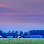 Rural Manitoba countryside on July 01, 2023: Early dawn view of a farm with barns and silos set against crops in rural Manitoba Canada