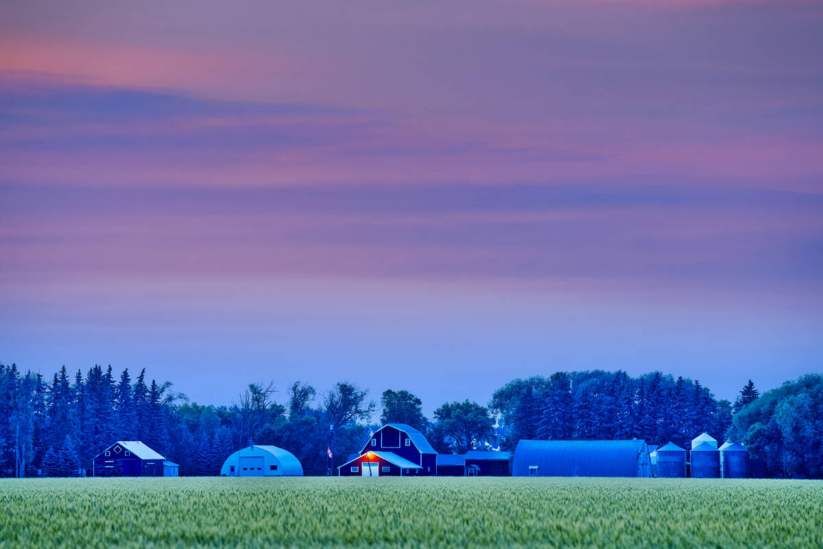 Rural Manitoba countryside on July 01, 2023: Early dawn view of a farm with barns and silos set against crops in rural Manitoba Canada