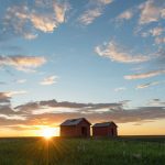 Red granaries at sunset, farmer's field near Grande Prairie, Northern Alberta.