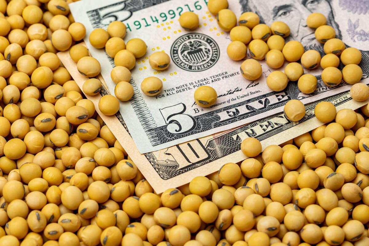 China’s buying has underpinned Chicago soybean futures in recent weeks, helping the market end 2025 on a positive note. Photo: Getty Images Plus
