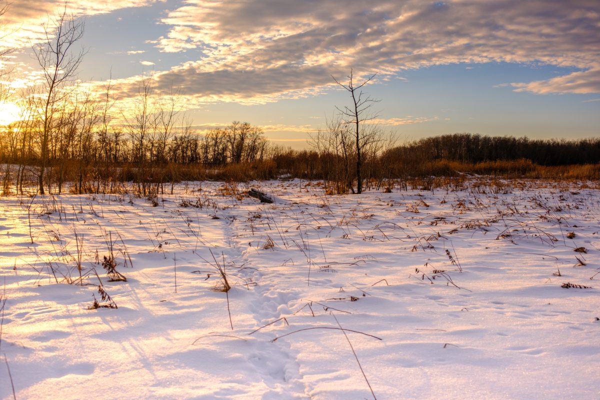 Photo: Getty Images Plus
