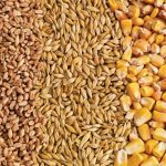 (Photo courtesy Canada Beef Inc.)
