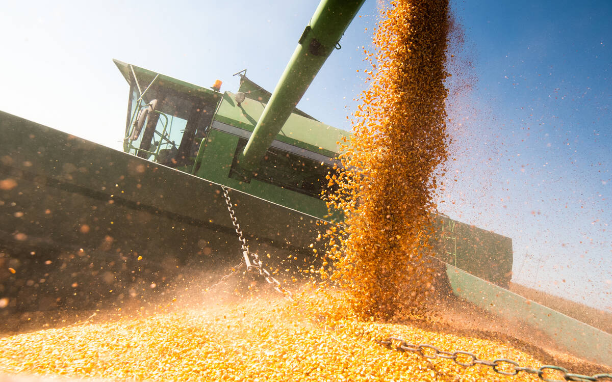 U.S. grains: Corn, soybeans end higher as U.S. hot spell looms