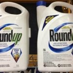 Plaintiffs say that Roundup&rsquo;s active ingredient, glyphosate, causes cancer, and they developed non-Hodgkin&rsquo;s lymphoma and other forms of the disease after using the weedkiller. Bayer has said decades of studies have shown Roundup and glyphosate are safe and do not cause cancer. Photo: File
