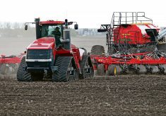 Farmers are expected to seed more canola and spring for 2026/27 and less durum and pulses. Photo: File
