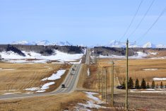 Photo: Getty Images Plus
