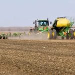 Canadian farmers intend to plant more canola, less wheat in 2026