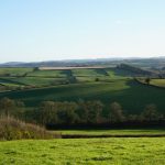 Farm & Family - March 6 edition