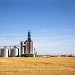 Farmers were quick to sell crops as they sought to stem losses and questioned how long the rally would last. Corn and soybean prices at times have each been up about six per cent from their levels since before the war began. Photo: Getty Images Plus
