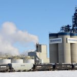 The Canadian and U.S. canola crushes expanded in calendar year 2025, as it the U.S. soybean crush. However, StatCan didn’t release data for the Canadian soybean crush. Photo: File
