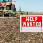 The agriculture sector has its own dedicated stream to hire temporary foreign workers &mdash; the Seasonal Agricultural Worker Program (SAWP), but may also hire workers through the low-wage stream. Photo: Getty Images Plus
