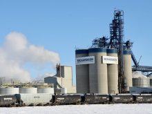 Aaron Anderson of Richardson International is listed as one of three new Canola Council of Canada directors for 2026-27. Photo: Richardson International
