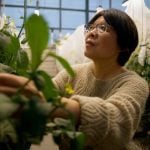 A glasshouse is a facility that enables researchers to develop experimental climates. BASF&rsquo;s will be designed to support future canola hybrid breeding programs. Photo: Supplied
