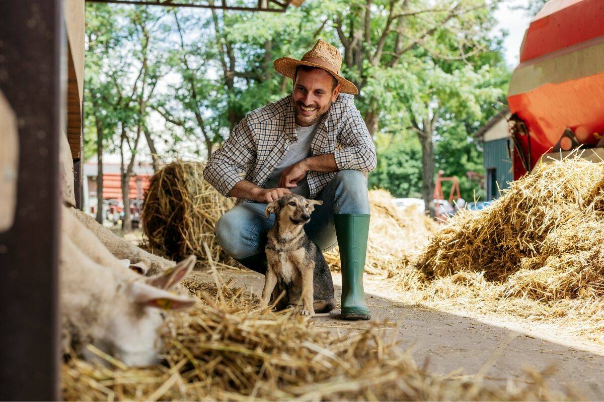 Farmer squatting