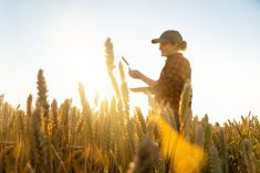 Source: Canva_Scharfsinn86 from Getty Images