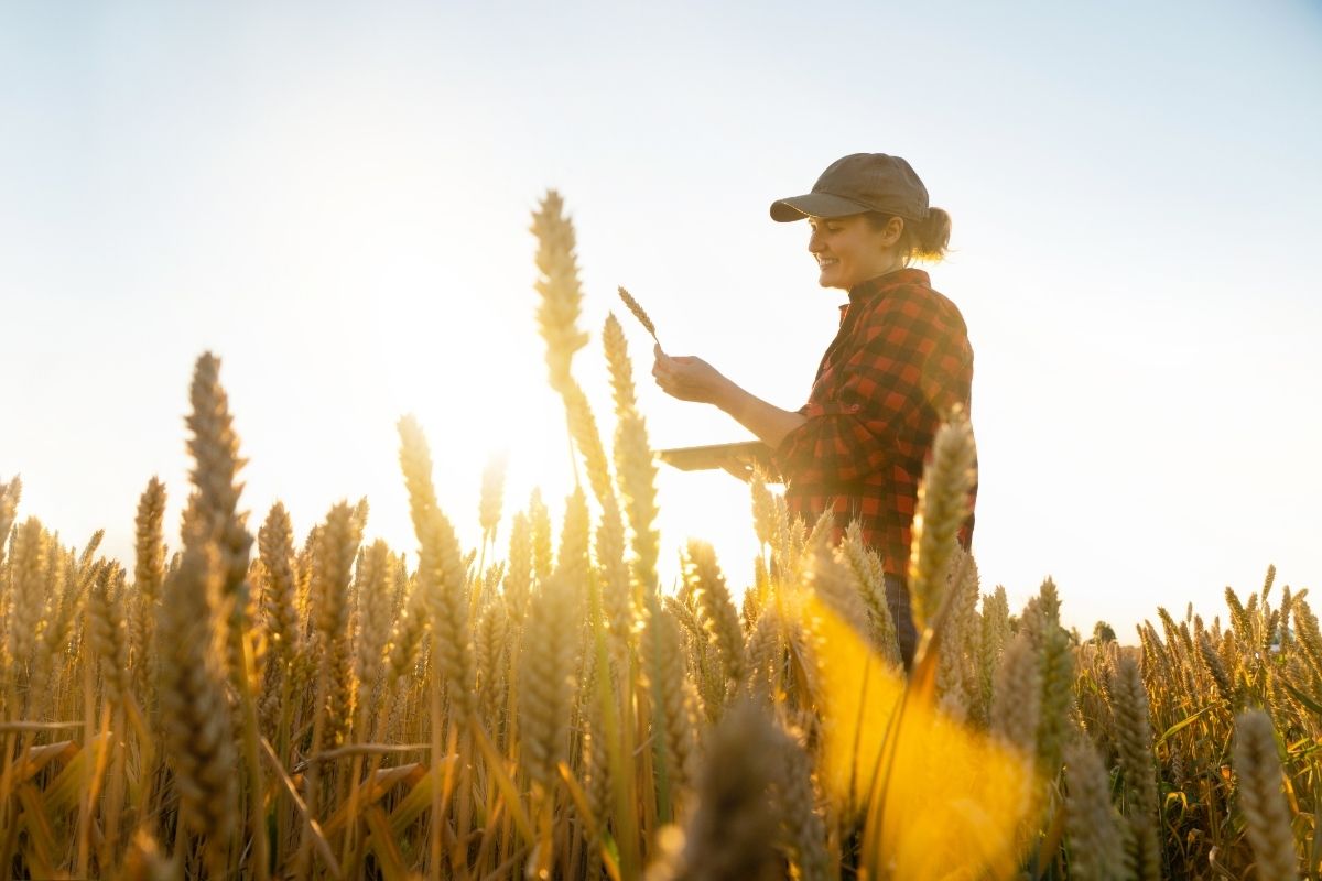 Source: Canva_Scharfsinn86 from Getty Images