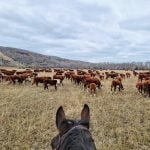 Farm & Family - March 20 edition