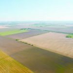 Alberta, Saskatchewan and Manitoba were responsible for much of Canada&rsquo;s annual average increase in farmland prices last year. Photo: File
