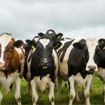 Farm & Family - March 27 edition