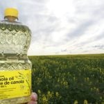 Richardson supplied Matex with canola oil from its processing plant in Lethbridge, Alta. Photo: File
