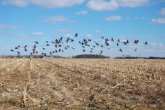 From Wednesday through Friday, Manitoba and Saskatchewan can expect partly or mostly cloudy skies and the chance of occasional flurries. Photo: Getty Images
